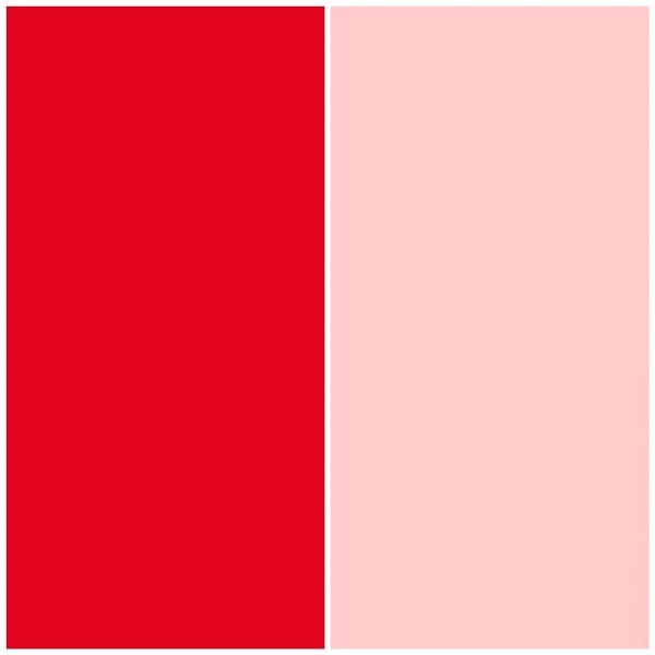 59F22391-8D74-4305-AB42-9F5AFECCBFEF_コピー