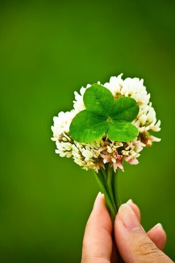 image1-264_コピー_コピー